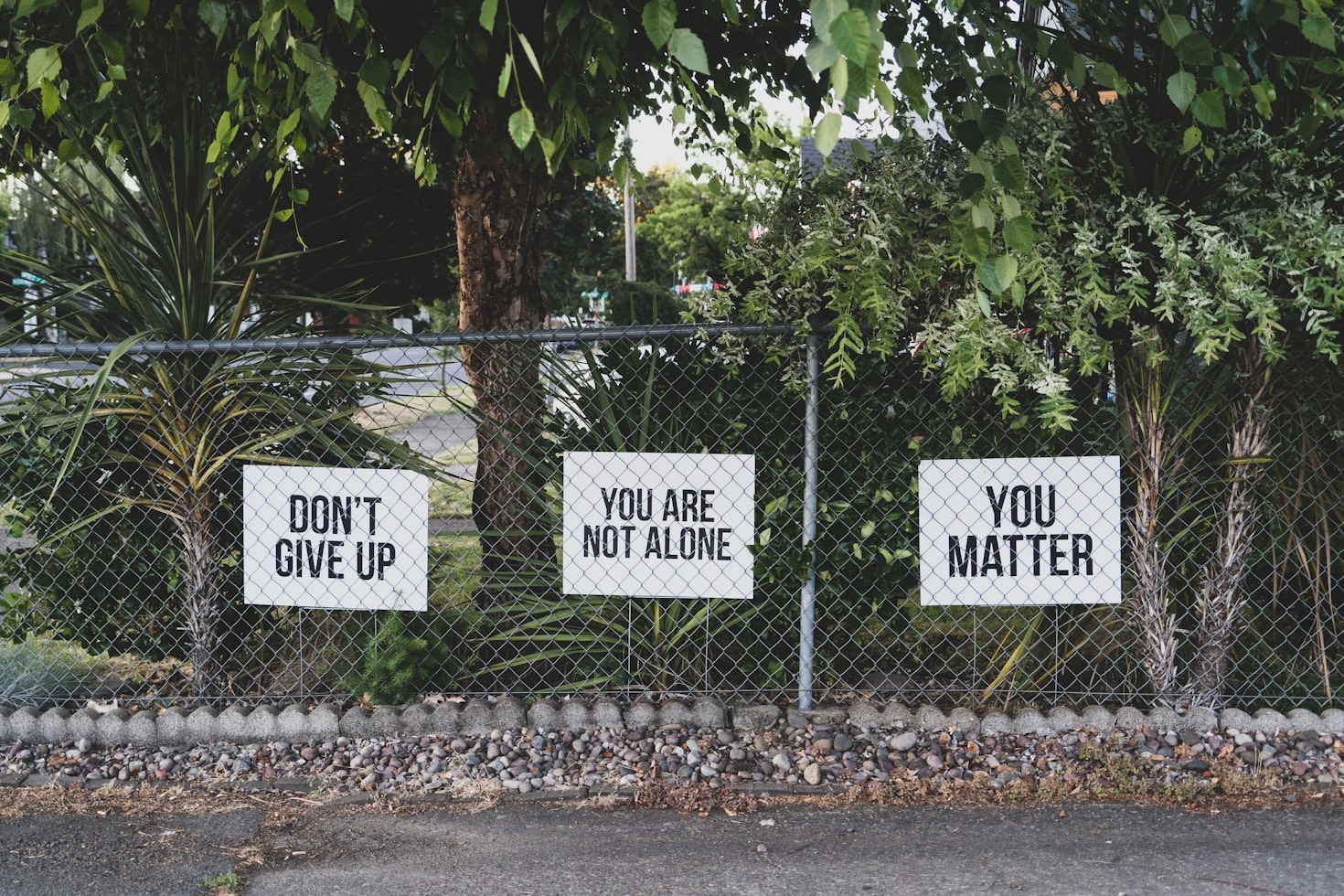The Role of Volunteers in Empowering Change